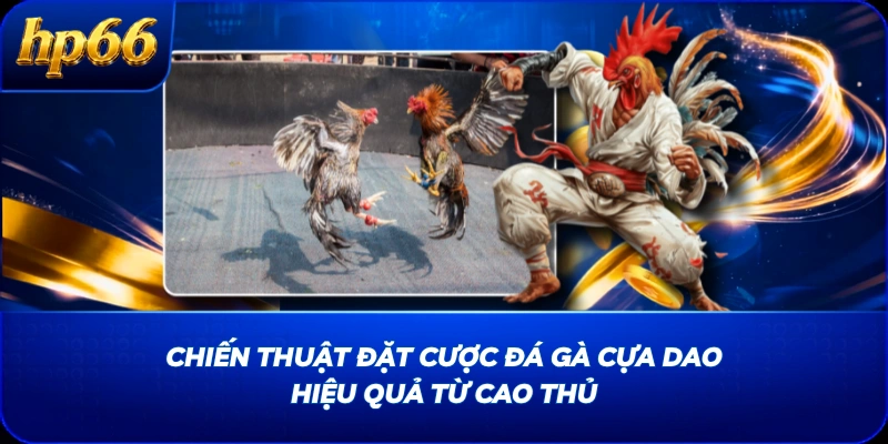 Chiến thuật đặt cược đá gà cựa dao hiệu quả từ cao thủ