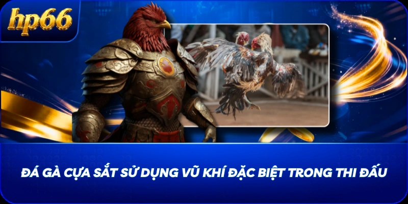 Đá gà cựa sắt sử dụng vũ khí đặc biệt trong thi đấu