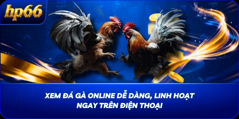 Xem Đá Gà Online Dễ Dàng, Linh Hoạt Ngay Trên Điện Thoại