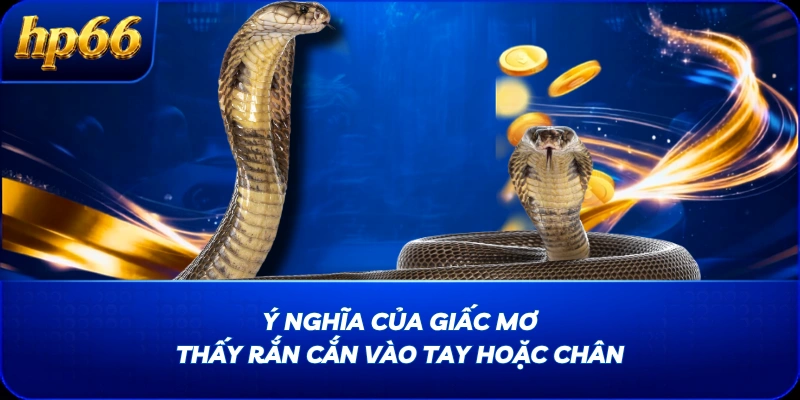 Ý nghĩa của giấc mơ thấy rắn cắn vào tay hoặc chân